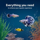 Aqueon 20-gallon Aquarium Starter Kit Smart Clean Filtration Led Lighting 50w