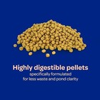 Kaytee Koi s Choice Koi Floating Fish Food 10 Lb Bag