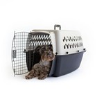 Pet Kennel Small medium 26  Dog Crate Plastic Travel Carrier For Pets 15-25 Lb