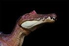 Recur 1 42 Scale Spinosaurus Strome Model Theropod Dinosaur Animal Scene Decor