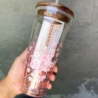 2024 Starbucks Spring Pink Sakura Double Glass Straw Mug With Sakura Stopper