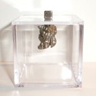 Meteorite And Display Cube 8 3 Gram Genuine Campo Del Cielo Meteorite With Coa