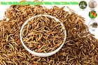 Bulk Non-gmo Dried Mealworms High Protein For Chickens Wild Birds Ducks Lizard
