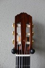 Brand New Cordoba Esteso Sp Nylon String Classical Guitar