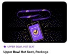 Ariana Grande Ticket - July 13 2026 Brooklyn