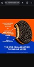 Limited Edition Oreo Reese s Buttery Creme Chocolate Sandwich Cookies 