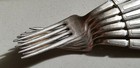 6 Antique Vintage Collectible Forks 7 5  1847 Rogers Bros Silver Plate - 