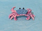 Retired Hagen Renaker Adult Crab