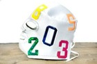 Lucha Libre El Matematico Wrestling Costume Mask Adult Size