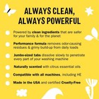 10 Count Washing Machine Cleaner   Removes Odors   Grime From Front-top Loader