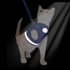 Cat Walking Harness And Leash Mesh Breathable Puppy Vest Adjustable Size Medium