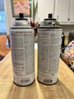 Krylon Vintage Spray Paint Set Of 2