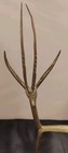 Vintage Brass Gazelle Figurine