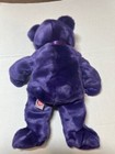 Rare Princess Beanie Buddy     1997 Ty Original     Excellent Condition 
