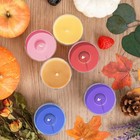 Fall Candles Bulk  12 Pack Scented For Home  12 Pack  Fall Colors 