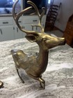 Vintage Pair Of Large Spotted Brass Deer Statues Buck 22  H   Doe 19    L Heavy