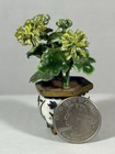 Chinese Cloisonne Enamel Vtg Miniature Flower Pot Dollhouse Plant Chrysanthemum