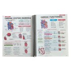 Nursing Study Guide Success Bundle With Comprehensive Study Notes For Nurses