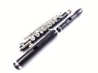 Reconditioned Di Zhao Dzp-201  extra Headjoint Wood Pro Piccolo  warranty