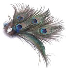 Bridal Feather Hair Clip Peacock Feather Fascinator Feather Brooch For Weddin   