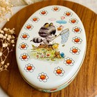 Vintage Giordano Raccoon Tin Box     Cute Retro Oval Metal Storage Container 1970s