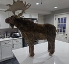 Melissa   Doug Giant Plush Standing Moose   40       30       12     Realistic Toy 