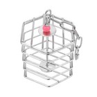 Bird Stainless Steel Foraging Feeder Parrot Hanging Feeding Box