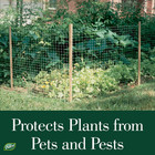 Gardeneer Plastic Fence For Garden Edging  Lightweight Fencing Role For Yards An