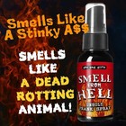 30ml Novelty Liquid Fart Gag Prank Joke Spray Can Stink Bomb Smelly Stinky Usa