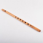 Vintage Shinobue Bamboo Flute L45cm With Bag Japanese Classical Music Kiduki F s