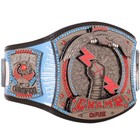 Cm Punk 434-day Wwe Spinner Championship Belt Brass  Customizable  Free Ship
