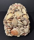 Seashell Hinged Trinket Jewelry Box 7 5 X 4 X 5  Folk Art Sailors Valentine