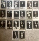 Lovely Group Of 51 Original    boxing Series    Early 1900   s Promotional Postcards  