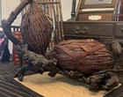 Hanakago   rootwood   dbl gord     Centerpiece Ikebana   woven   bamboo   antique   japan