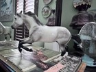 Breyer Rambler   Dappled Grey   Glossy Web Special Freedom Series Horse New