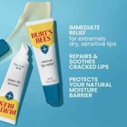 2 Packs - Burt s Bees Rescue Lip Relief 2-pack   4 Tubes Total  Free Shipping 