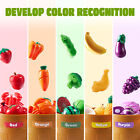 Play Food Set For Kids Kitchen Color Sorting Toy Food Pretend Play Fake Food Toy
