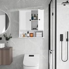 Wall-mounted Medicine Cabinet Bathroom Storage Shelf Organizer With 2 Doors