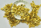 Gold Nuggets 7  Grams Placer Alaska Natural  12- 14 Mesh Mammoth Creek Special