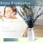 Preserved Dried Eucalyptus Stems Bundle - 12 Pcs Blue For Green 