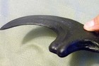 9 Inch Raptor Claw Replica Jurassic Dinosaur Fossil Nail Utahraptor Talon Relic