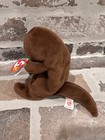 Ty Beanie Baby Babies Seaweed The Otter With Original Tags Rare 42