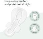 Rael Pads For Women  Organic Cotton Cover - Overnight  Large  bundle 