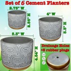 6 Pack   Cement Modern Planters For Plants Pots W  Drainage Holes Indoor Outdoor