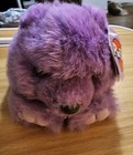 Used Wt Puffkins Violet The Bear Plush 1998 Swibco     Purple Stuffed Dob 4 12 98