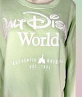2026 Disney Parks Walt Disney World Mint Green Sweatshirt Pullover Size L New 