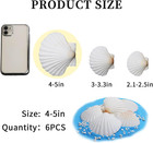 6 Pack 4-5 Inch Large Scallop Shells Sea Shells For Crafting Beach Decor