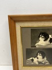 Vintage Japanese Chin Dog Photo Collage Framed Art Black   White Collectible Art