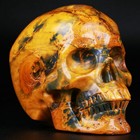 3 5  New Pietersite Carved Crystal Skull  Realistic  Crystal Healing