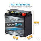 Ytx14l-bs  14l-bs 12volt  14ah  Igel Agm High Performance Power Sports Battery